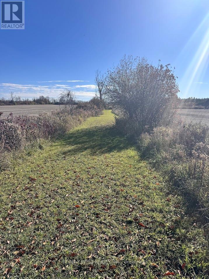 211 Queen Street W, Springwater, Ontario  L0L 1P0 - Photo 14 - S12507732