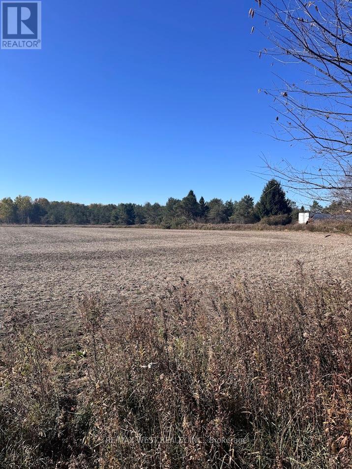 211 Queen Street W, Springwater, Ontario  L0L 1P0 - Photo 15 - S12507732