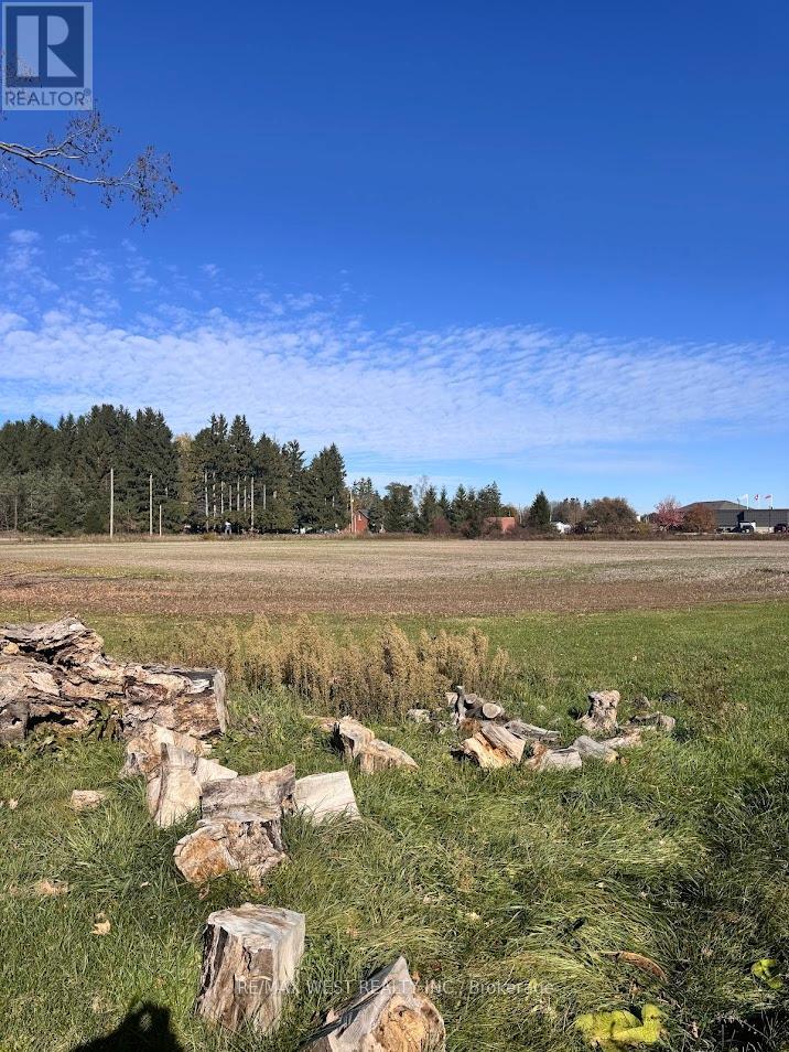 211 Queen Street W, Springwater, Ontario  L0L 1P0 - Photo 19 - S12507732