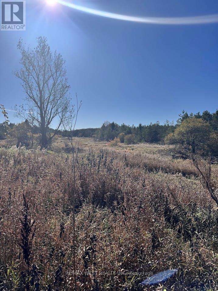 211 Queen Street W, Springwater, Ontario  L0L 1P0 - Photo 21 - S12507732