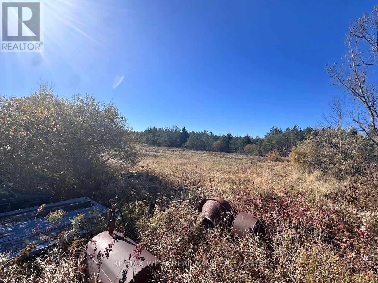 211 Queen Street W, Springwater, Ontario  L0L 1P0 - Photo 9 - S12507732