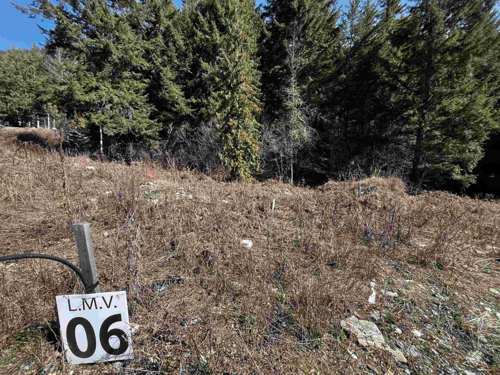 LMV 6 OLD HOPE PRINCETON HIGHWAY|Sunshine Valley, Sunshine Valley, British Columbia