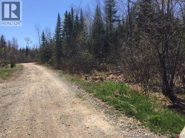 Lot 11-2 Hazen Lane, Lake George, New Brunswick  E3A 1K9 - Photo 4 - NB129630