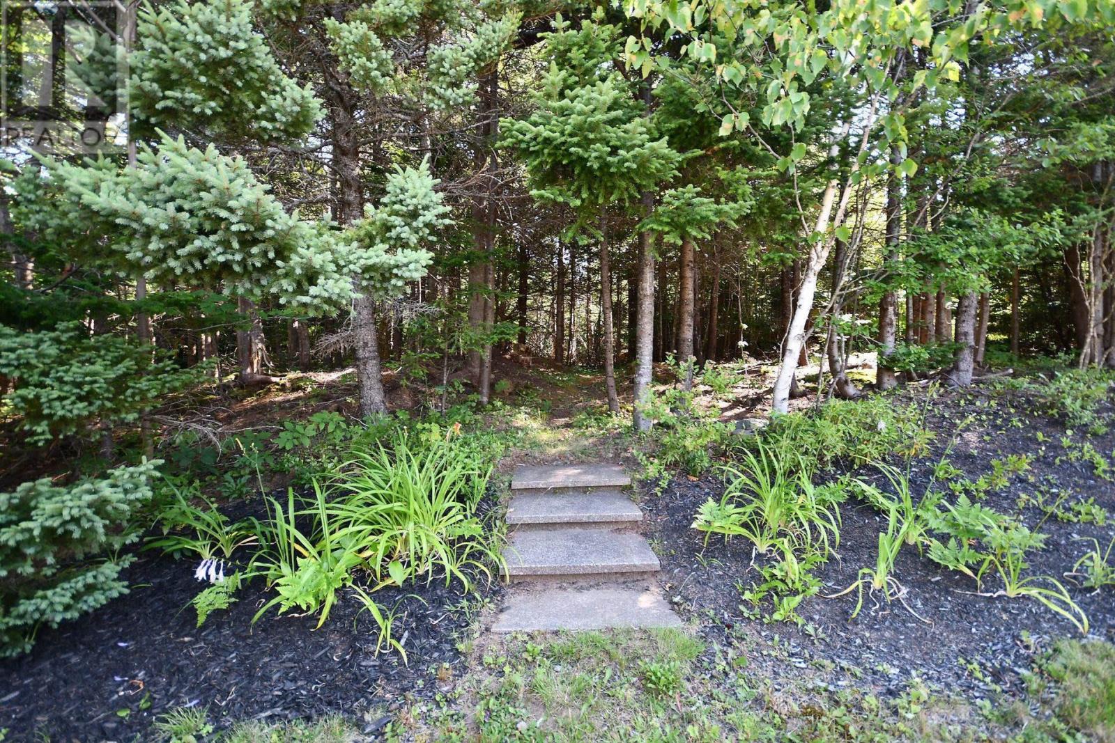 31 Barry Crescent, Herring Cove, Nova Scotia  B3R 2L7 - Photo 38 - 202519013