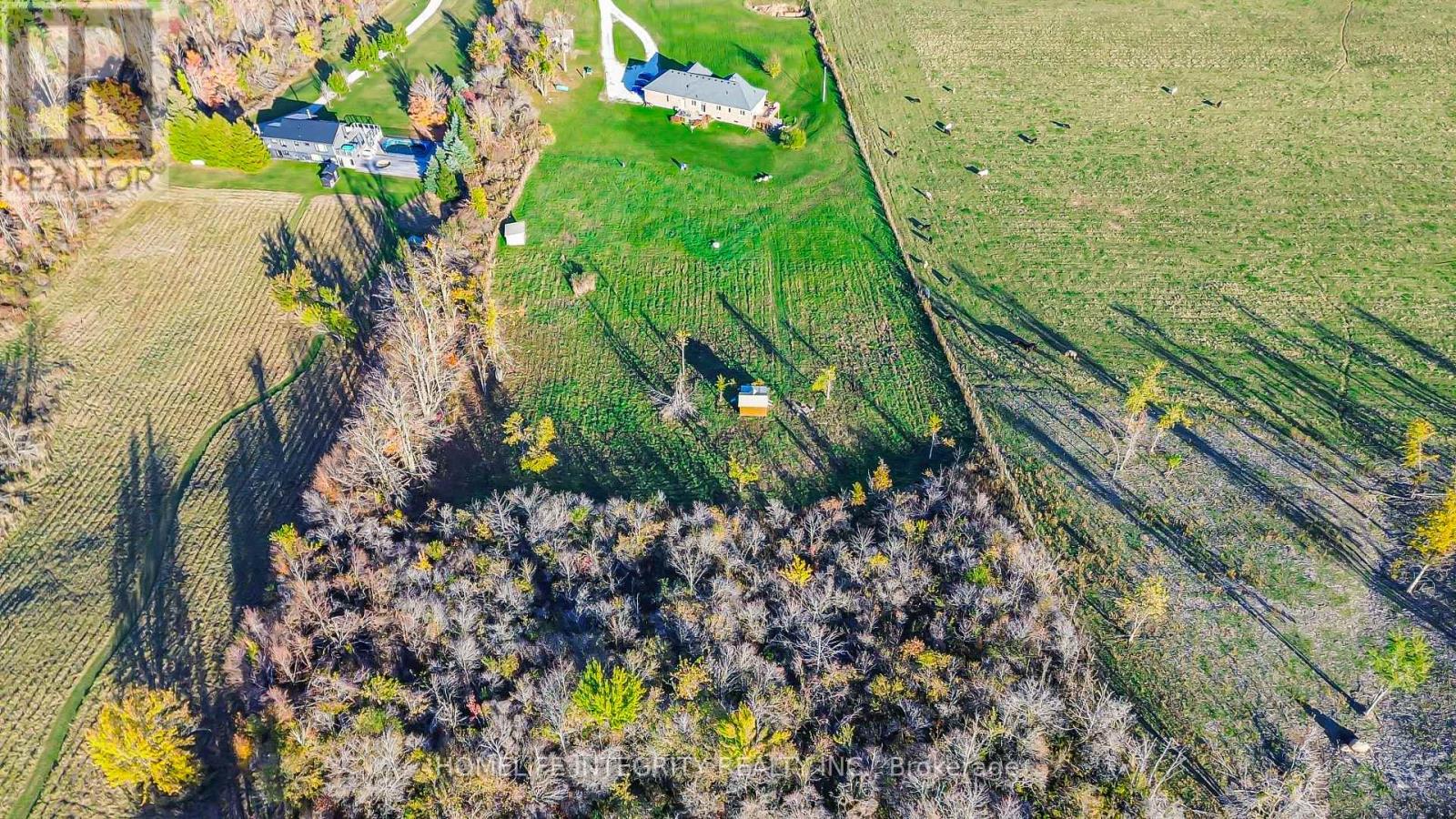 838722 4th Line E, Mulmur, Ontario  L9V 0J7 - Photo 17 - X12507900