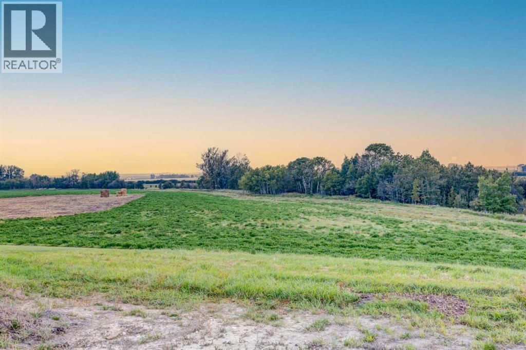 232 Red Tail Ridge Se, High River, Alberta  T1V 0J8 - Photo 50 - A2256121