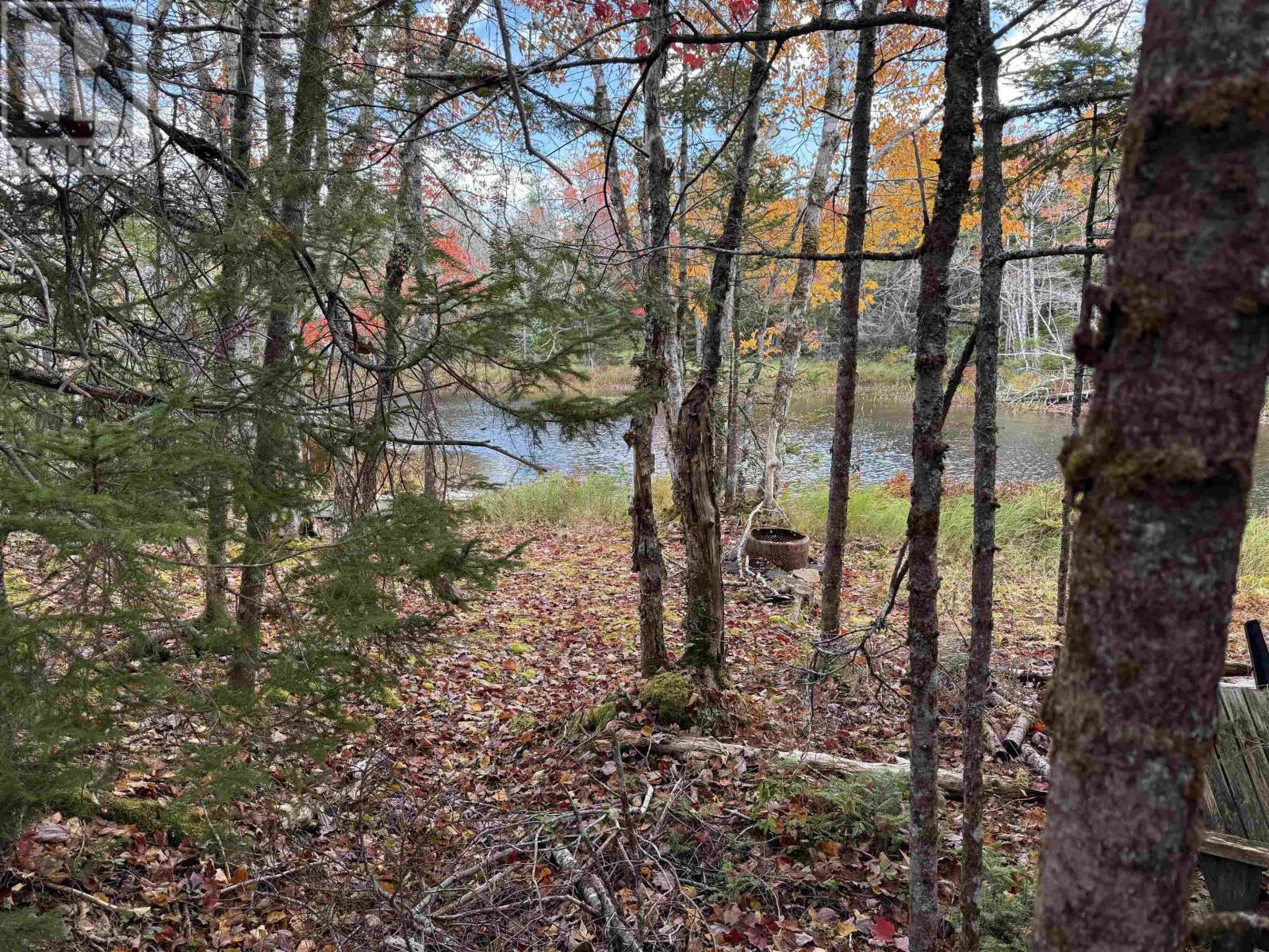 Lot 7 Old Dam Road, Eight Island Lake, Nova Scotia  B1H 1L0 - Photo 13 - 202525762
