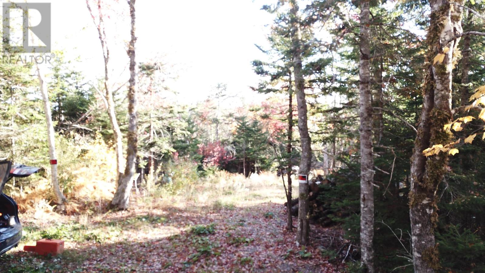 Lot 7 Old Dam Road, Eight Island Lake, Nova Scotia  B1H 1L0 - Photo 21 - 202525762