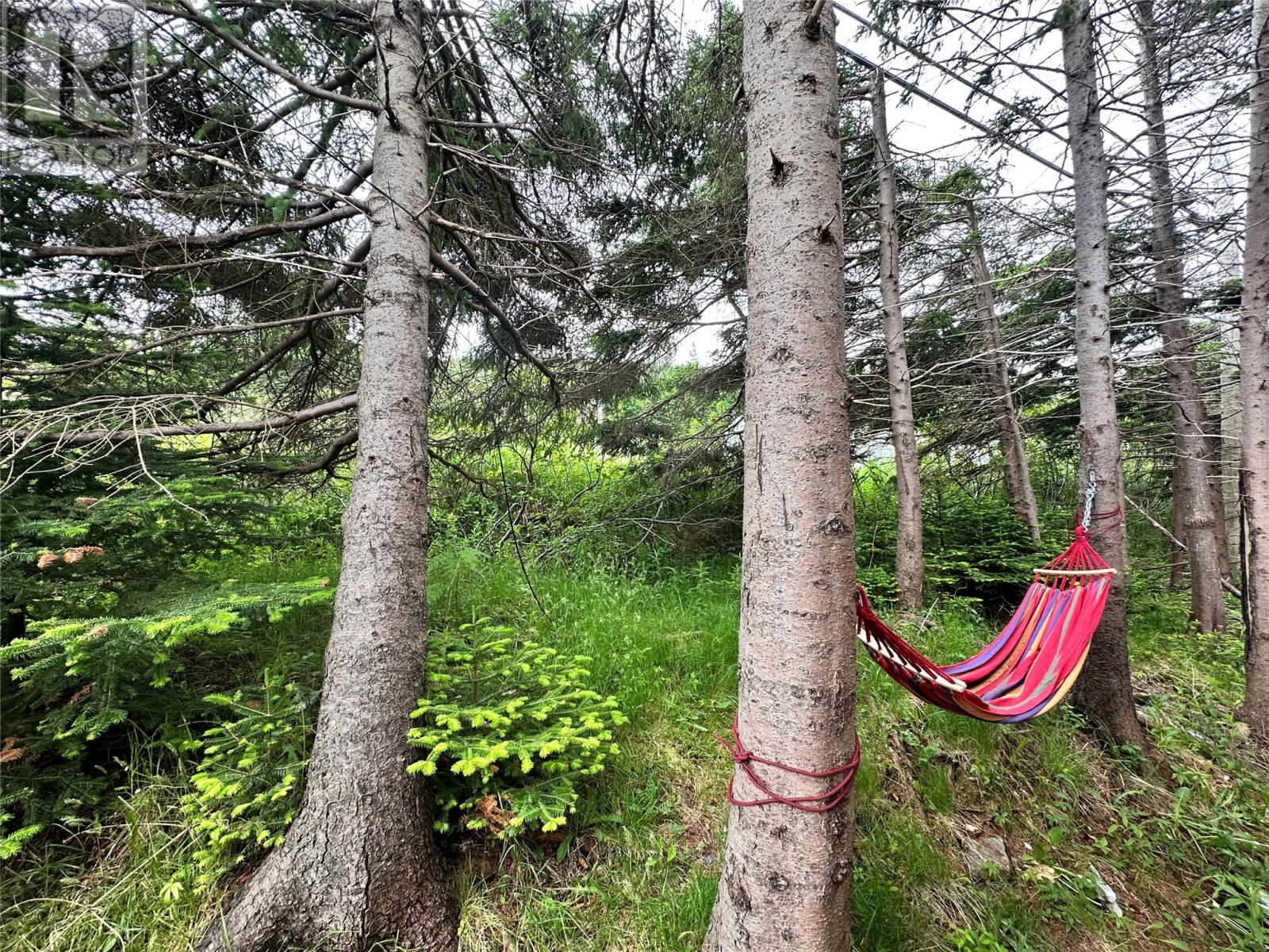 15 Dunford Place, Marystown, Newfoundland & Labrador  A0E 2M0 - Photo 6 - 1292297