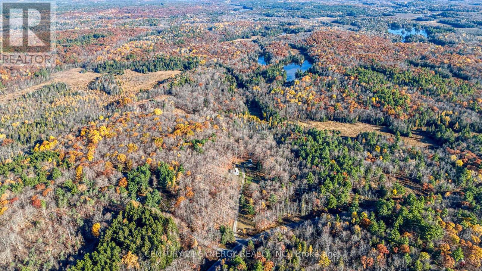 1534 Ardoch Road, Frontenac, Ontario  K0H 1J0 - Photo 3 - X12508500