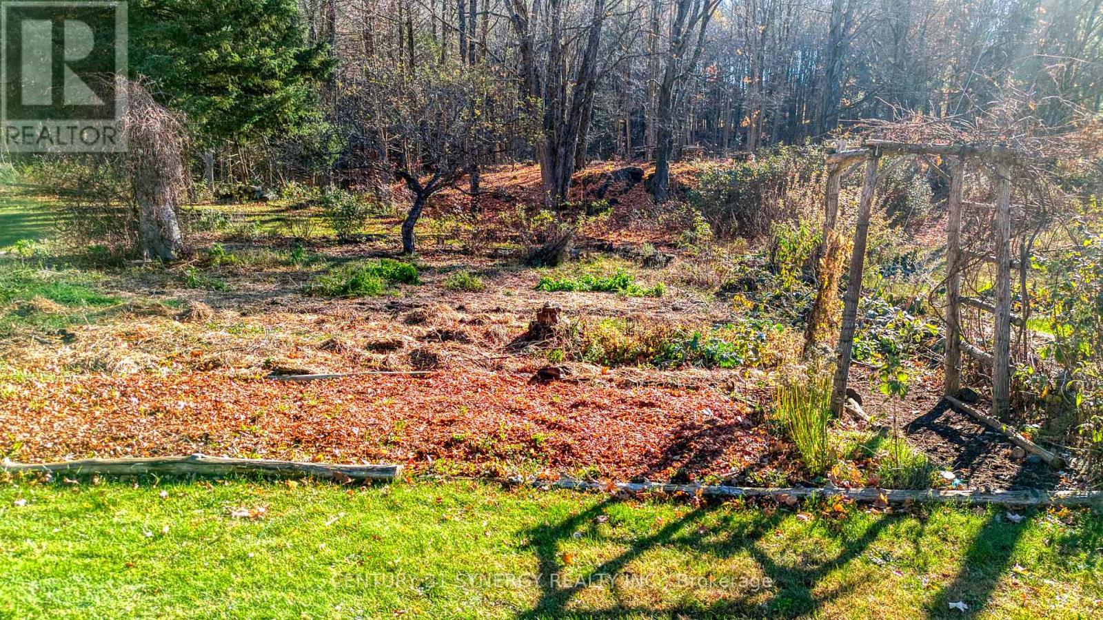 1534 Ardoch Road, Frontenac, Ontario  K0H 1J0 - Photo 30 - X12508500