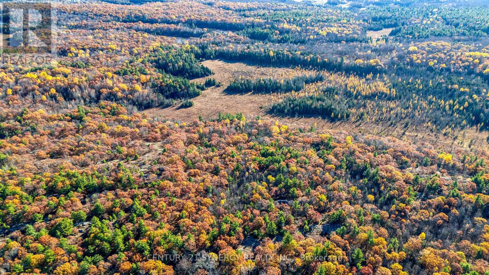 1534 Ardoch Road, Frontenac, Ontario  K0H 1J0 - Photo 4 - X12508500