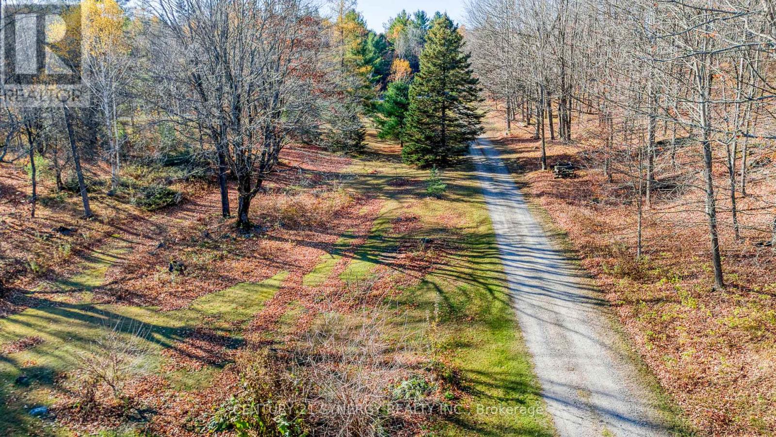 1534 Ardoch Road, Frontenac, Ontario  K0H 1J0 - Photo 40 - X12508500