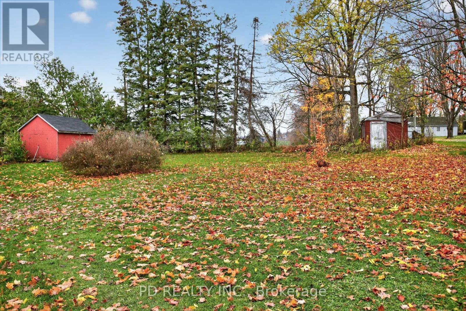 915 Mill Street, Cavan Monaghan, Ontario  L0A 1C0 - Photo 33 - X12508352