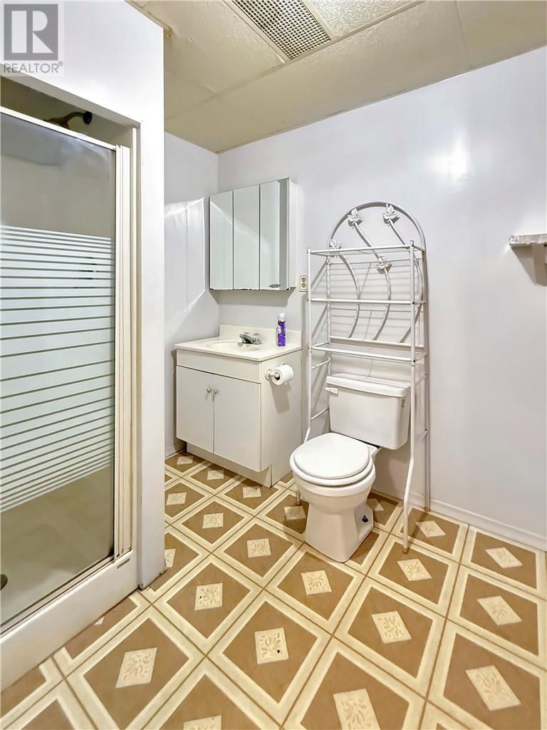 187 Ferndale Avenue, Sudbury, Ontario  P3B 3C1 - Photo 25 - 2125496