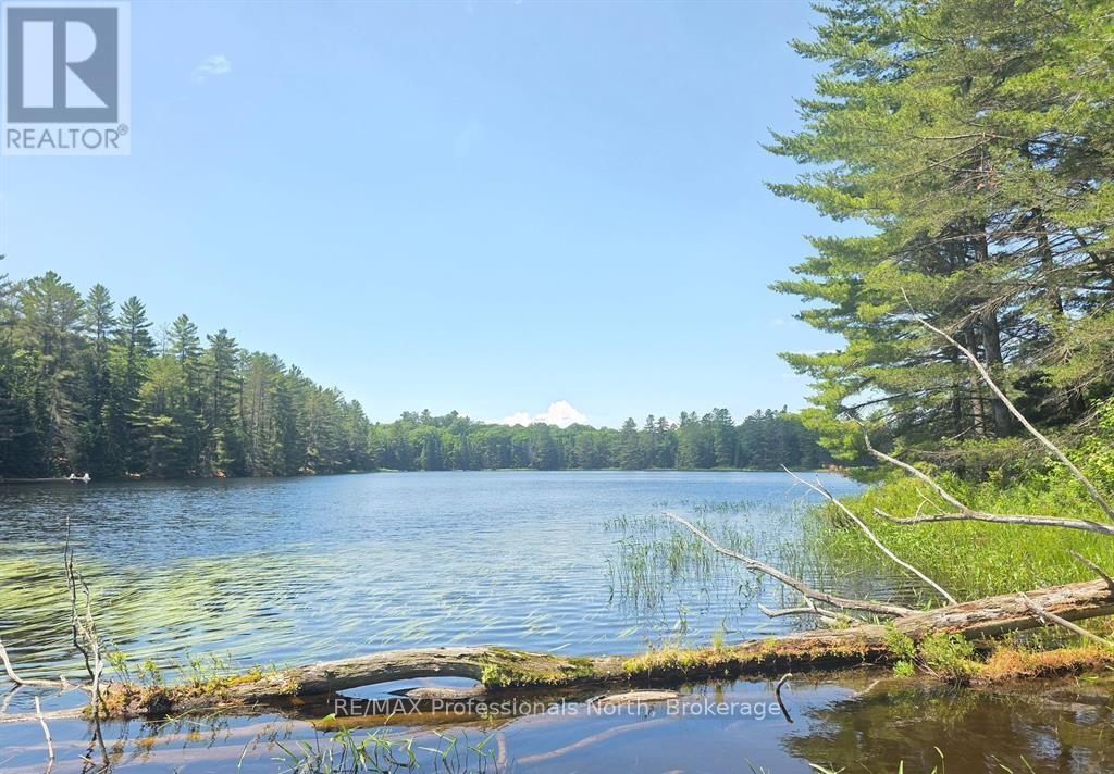 1134 WALKERS LINE ROAD, Algonquin Highlands, Ontario