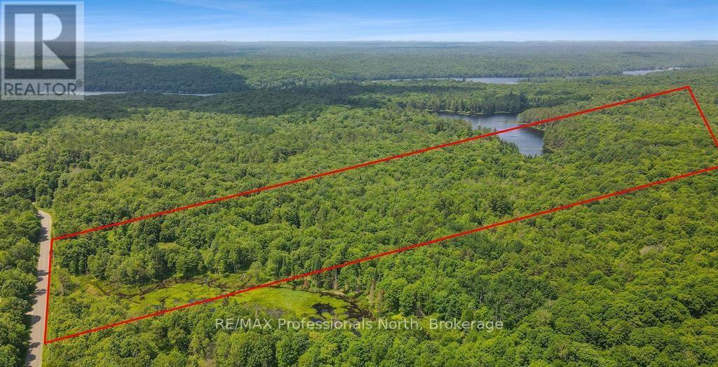 1134 Walkers Line Road, Algonquin Highlands, Ontario  K0M 1S0 - Photo 4 - X12507824