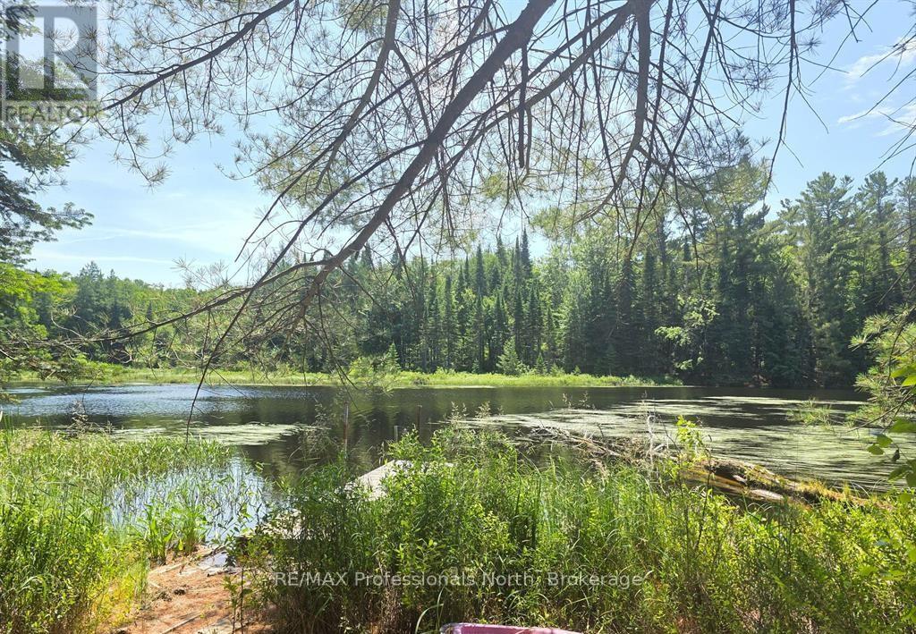 1134 Walkers Line Road, Algonquin Highlands, Ontario  K0M 1S0 - Photo 3 - X12507824