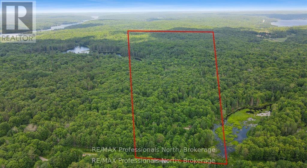 1134 Walkers Line Road, Algonquin Highlands, Ontario  K0M 1S0 - Photo 5 - X12507824