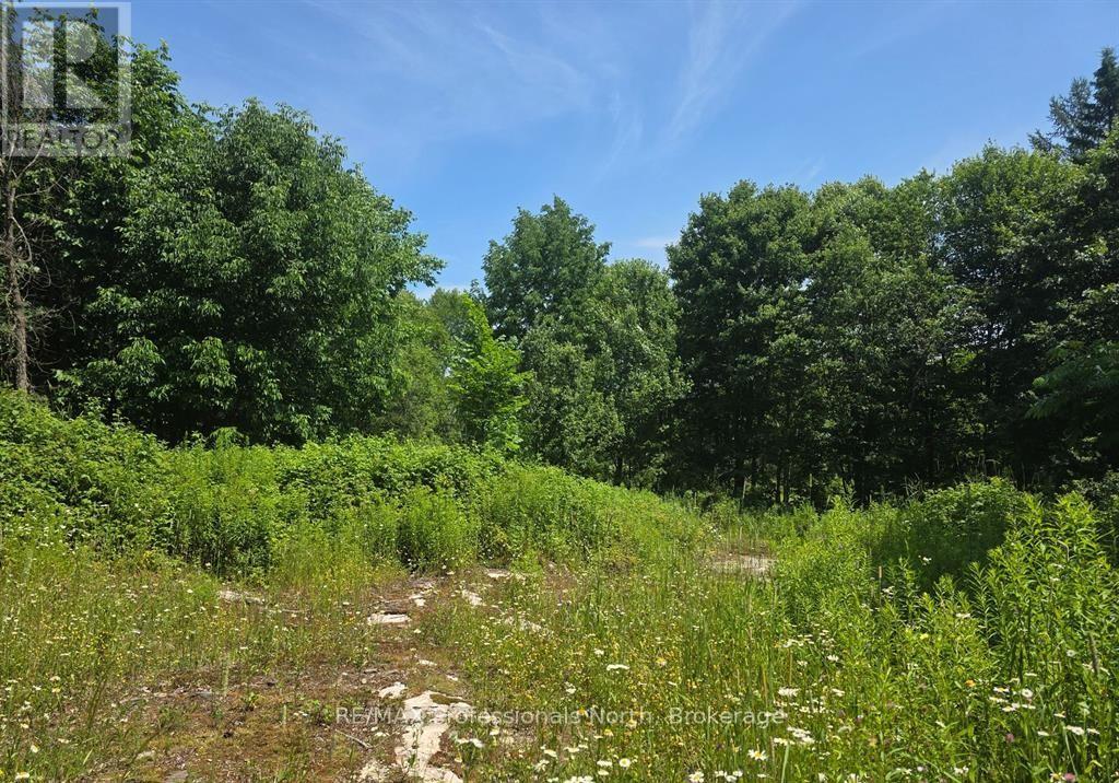 1134 Walkers Line Road, Algonquin Highlands, Ontario  K0M 1S0 - Photo 8 - X12507824