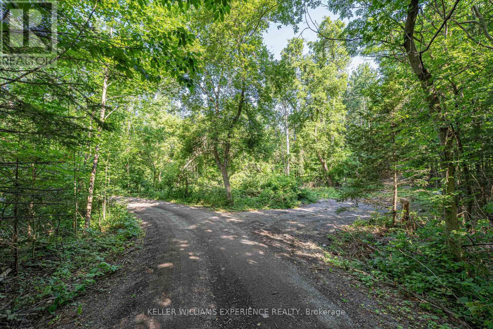 8294 County 27 Road, Essa, Ontario  L4N 9C4 - Photo 13 - N12508302