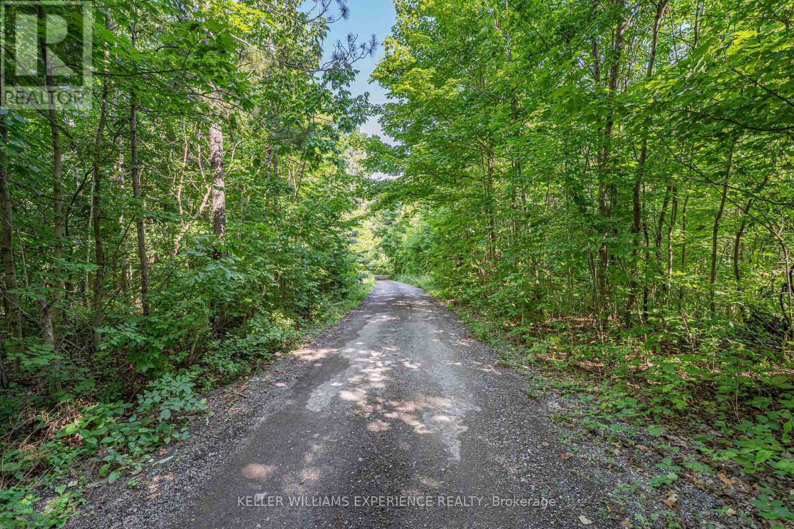 8294 County 27 Road, Essa, Ontario  L4N 9C4 - Photo 14 - N12508302