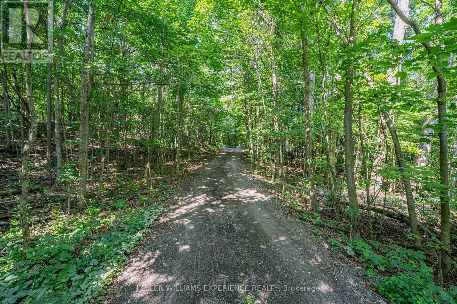 8294 County 27 Road, Essa, Ontario  L4N 9C4 - Photo 19 - N12508302