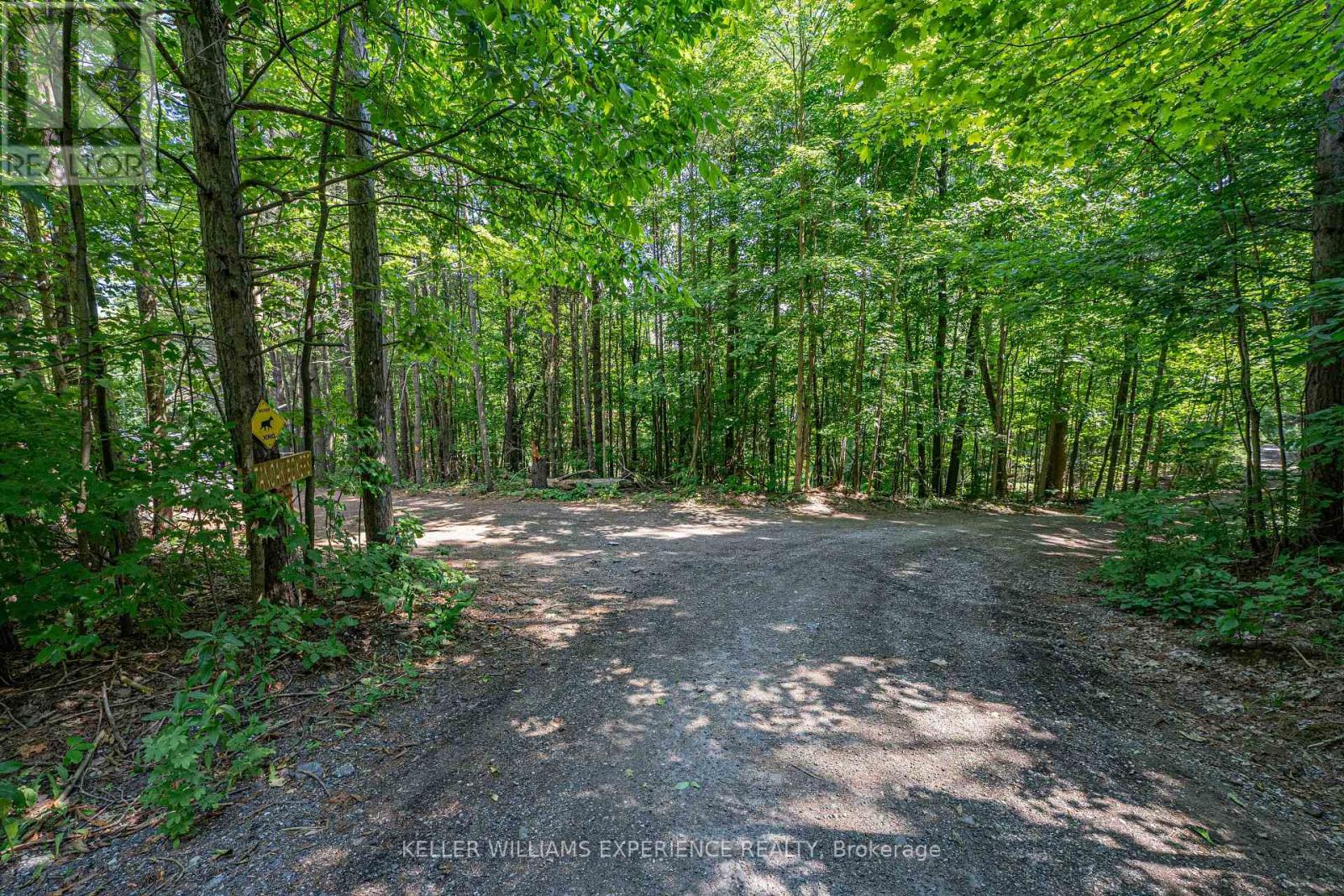 8294 County 27 Road, Essa, Ontario  L4N 9C4 - Photo 30 - N12508302