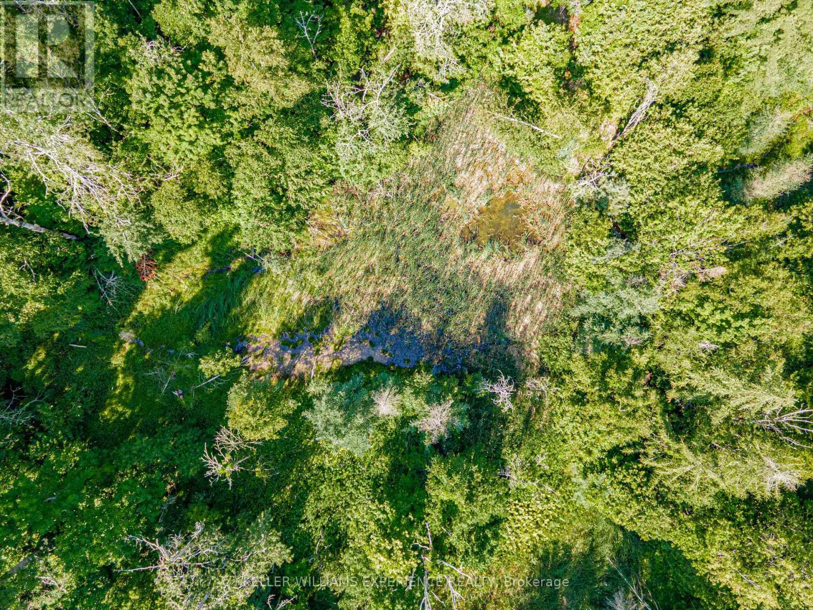 8294 County 27 Road, Essa, Ontario  L4N 9C4 - Photo 7 - N12508302