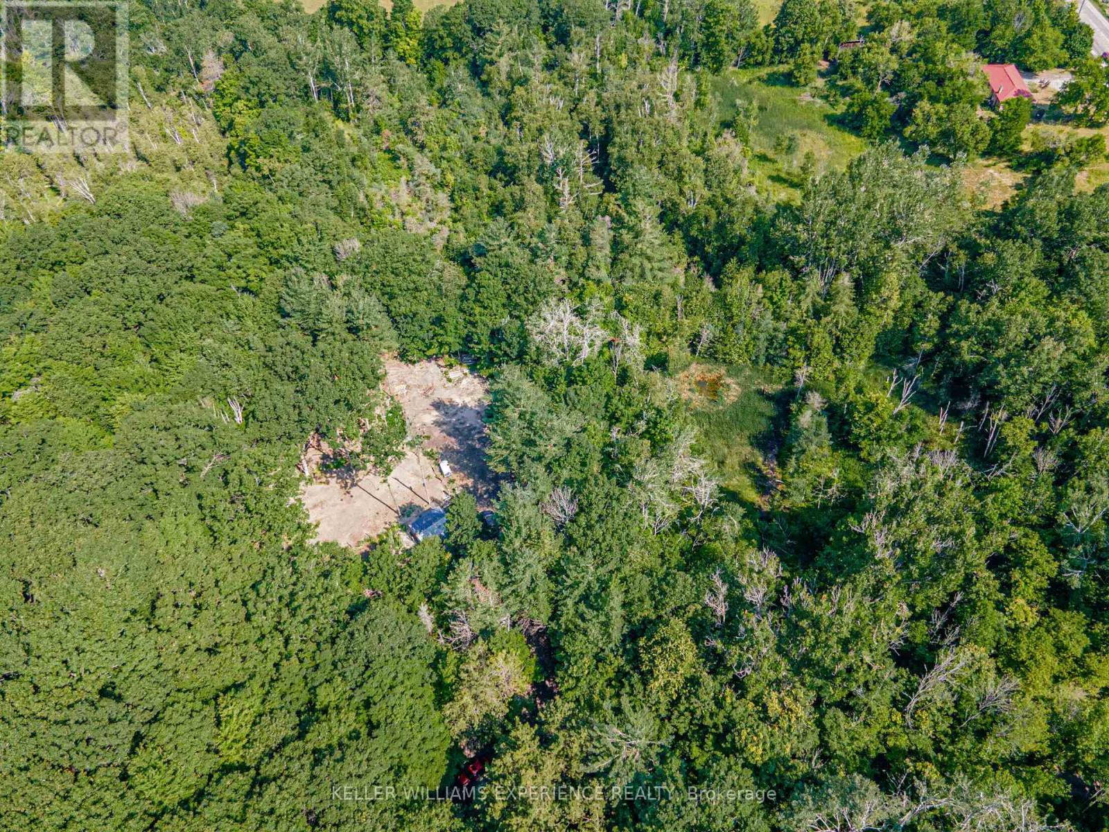 8294 County 27 Road, Essa, Ontario  L4N 9C4 - Photo 8 - N12508302