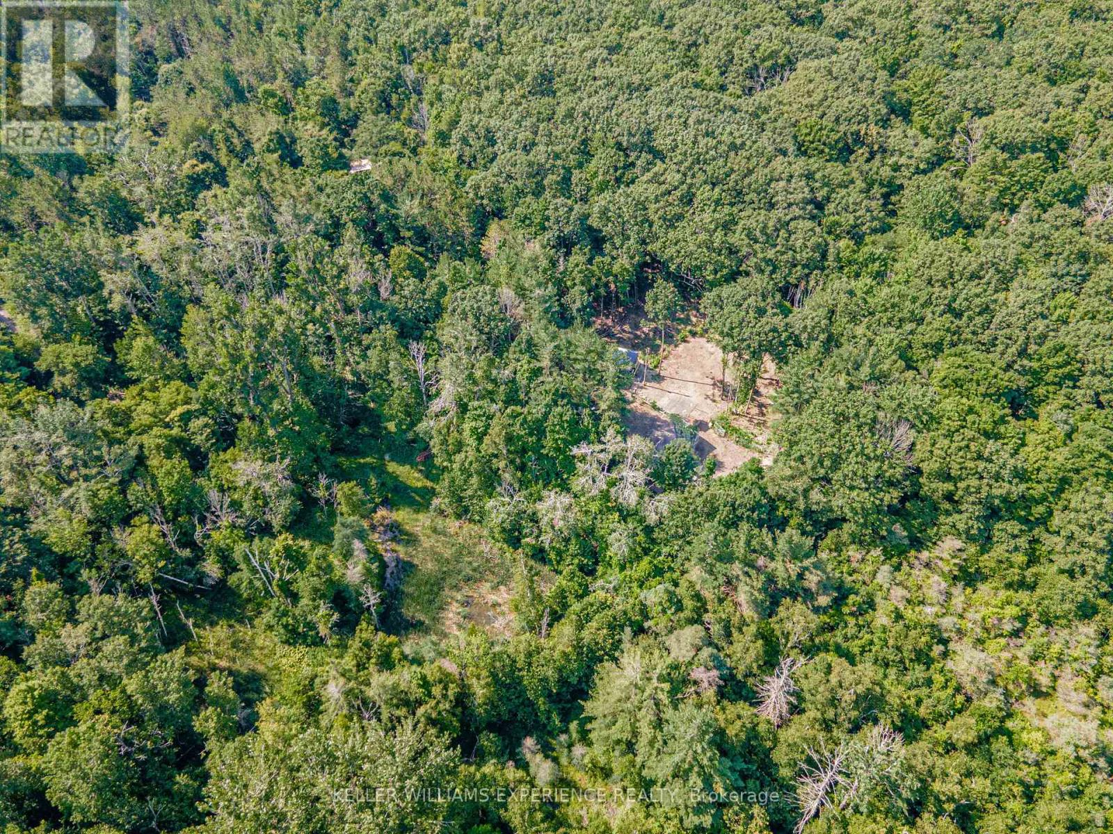 8294 County 27 Road, Essa, Ontario  L4N 9C4 - Photo 9 - N12508302