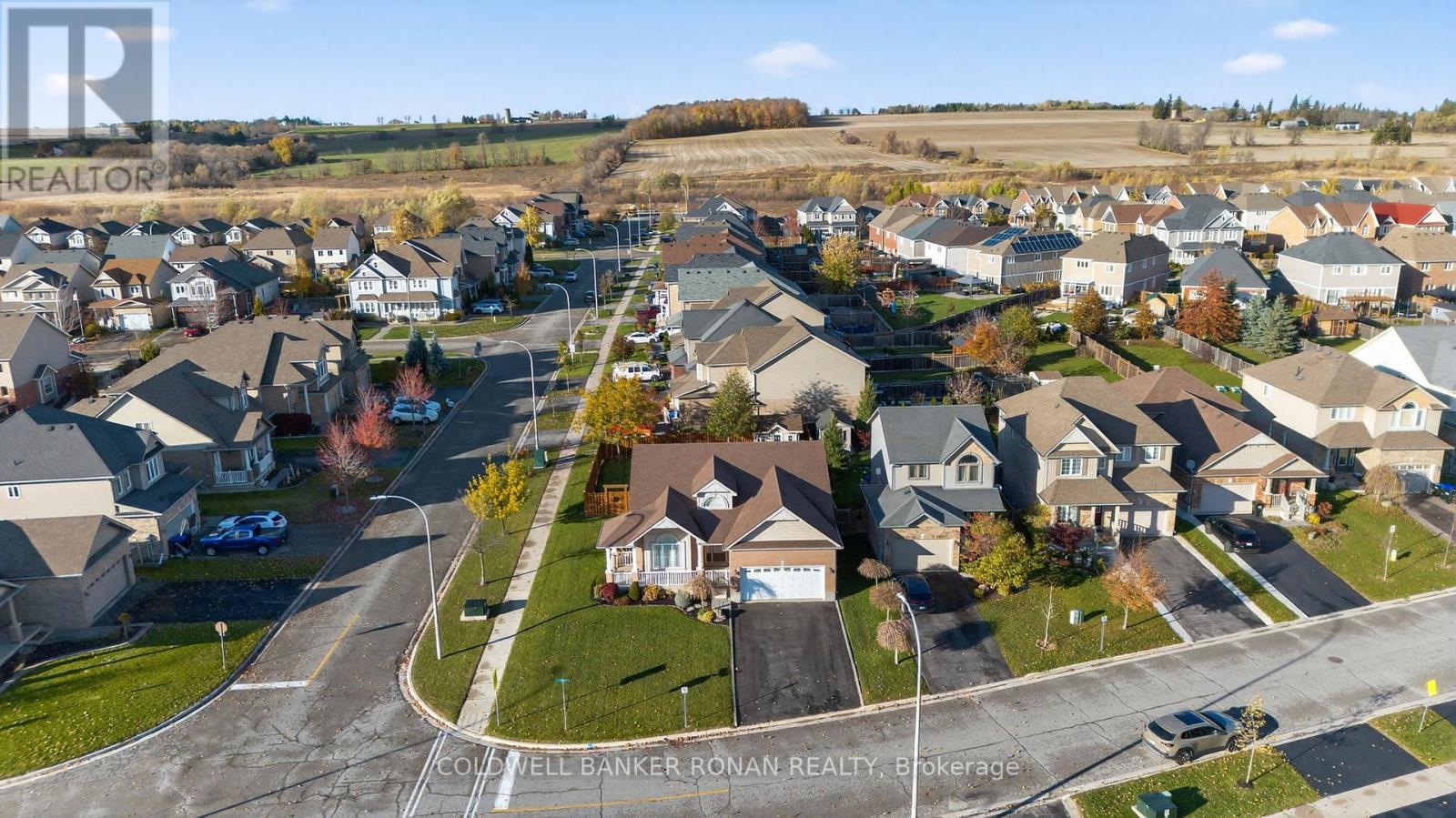 121 Gray Avenue, New Tecumseth, Ontario  L9R 0G4 - Photo 4 - N12508504