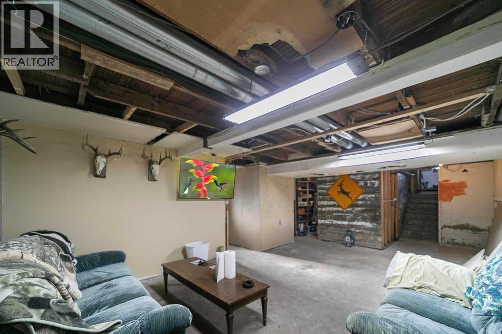 39218 Highway 36, Rural Paintearth No. 18, Alberta  T0C 0X0 - Photo 22 - A2217363