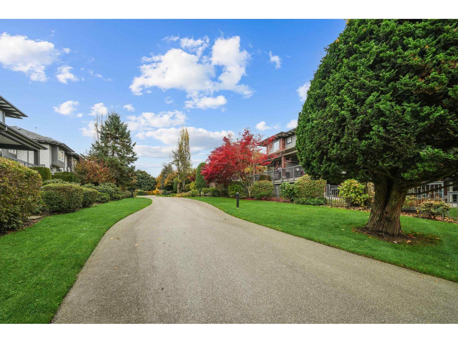 99 18777 68a Avenue, Surrey, British Columbia  V4N 0Z7 - Photo 27 - R3063894