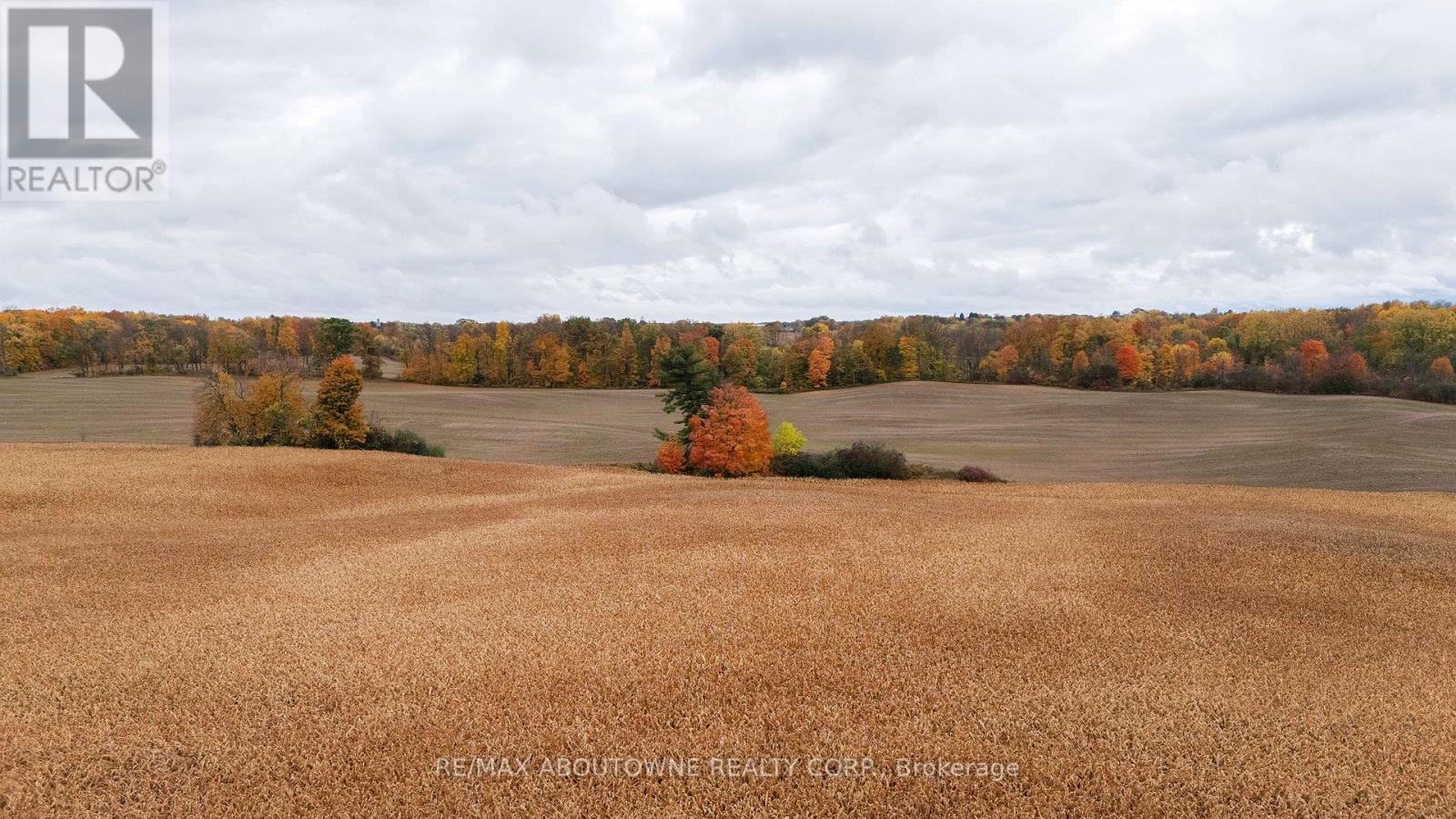 57 Monteith Drive, Brantford, Ontario  N3T 0W6 - Photo 39 - X12508180