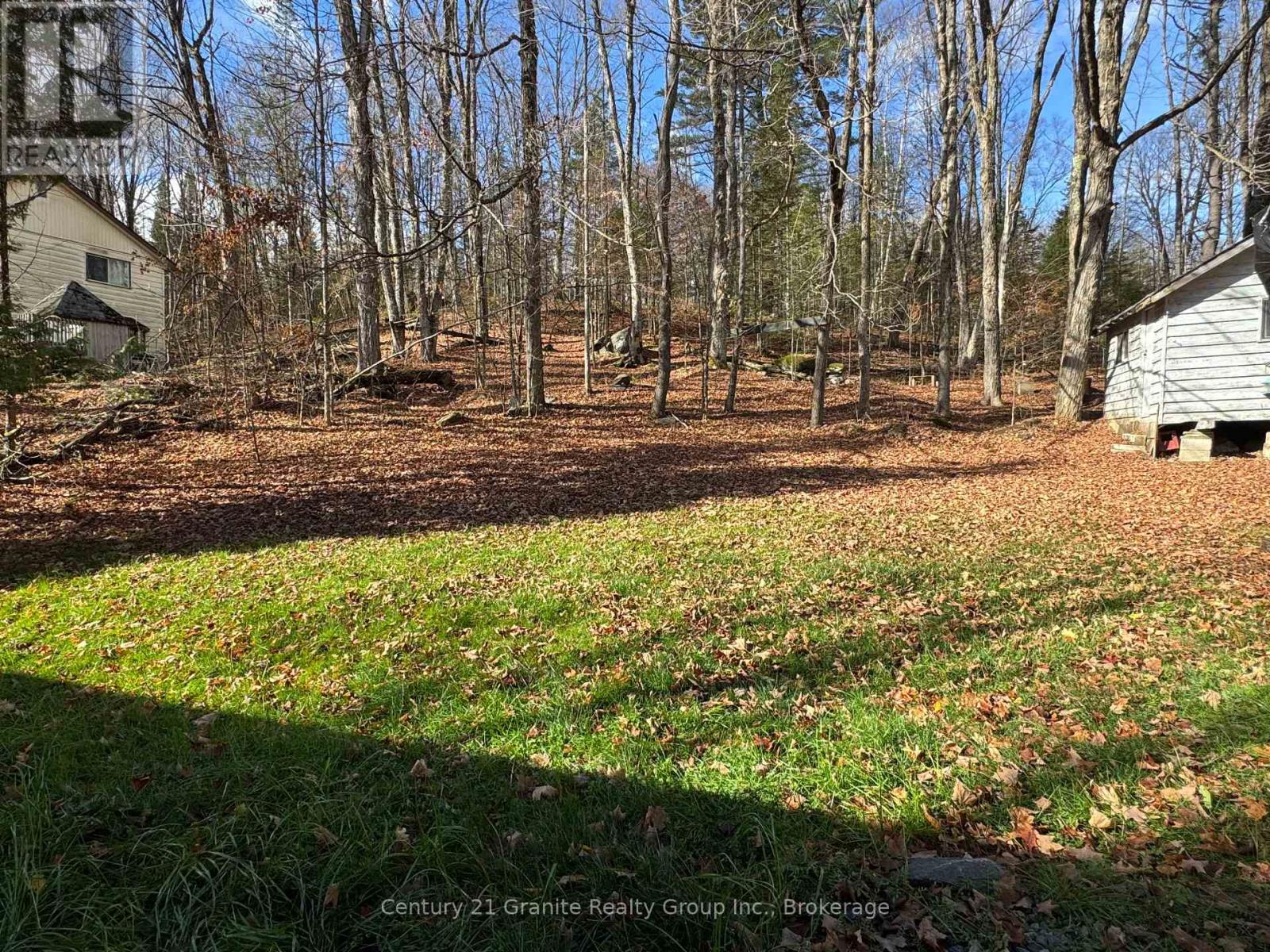 2 - 4687 County Road 21 Road, Dysart Et Al, Ontario K0M 1S0 - Photo 16 - X12508664