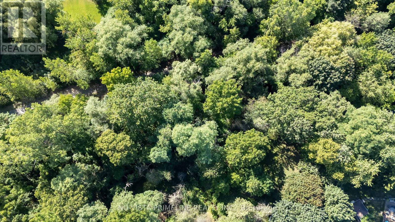 50 Meridene Crescent E, London North, Ontario  N5X 1G5 - Photo 8 - X12508772