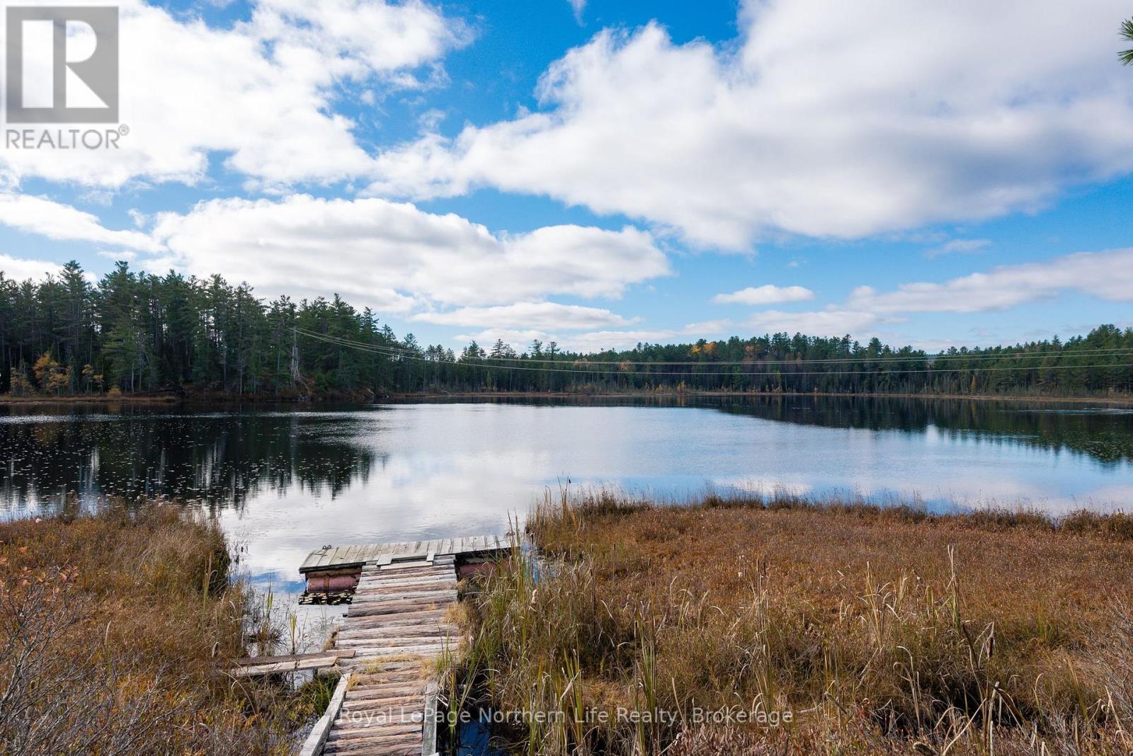 630 Murphy's Road, Mattawan, Ontario  P0H 1V0 - Photo 16 - X12508912