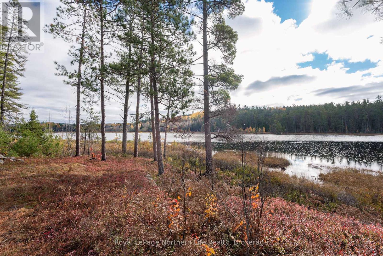 630 Murphy's Road, Mattawan, Ontario  P0H 1V0 - Photo 17 - X12508912