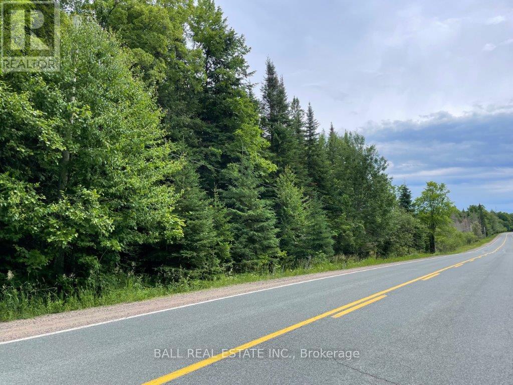 1350 Haliburton Lake Rd, Dysart Et Al (Dysart), Ontario  K0M 1S0 - Photo 10 - X12508922