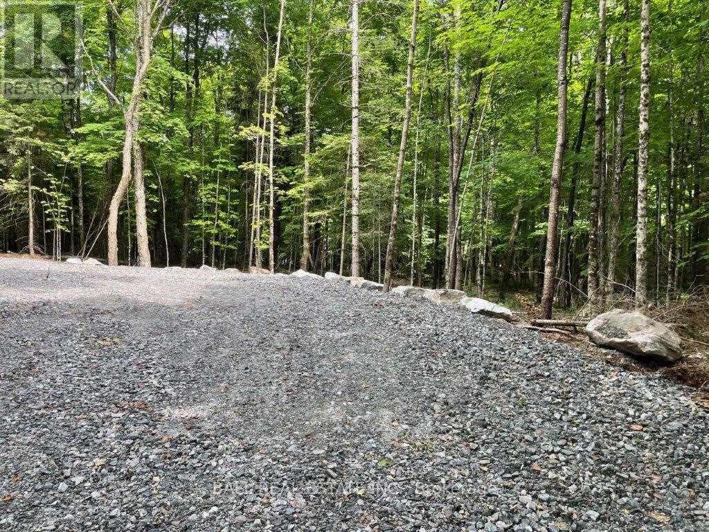 1350 Haliburton Lake Rd, Dysart Et Al (Dysart), Ontario  K0M 1S0 - Photo 11 - X12508922