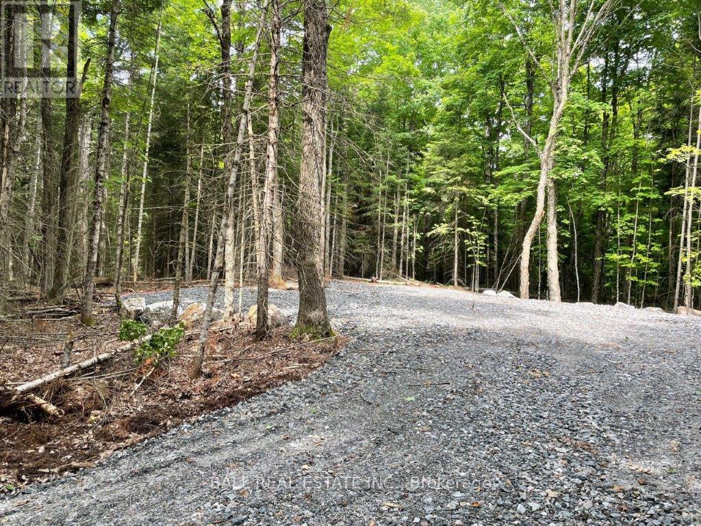 1350 Haliburton Lake Rd, Dysart Et Al (Dysart), Ontario  K0M 1S0 - Photo 12 - X12508922