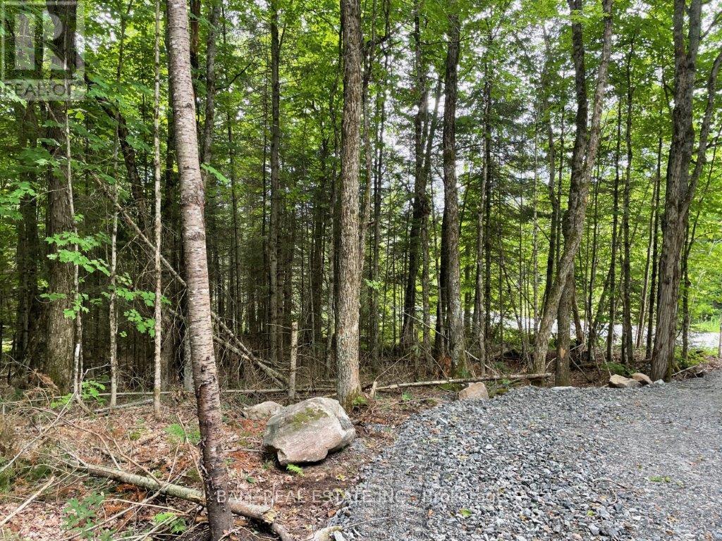 1350 Haliburton Lake Rd, Dysart Et Al (Dysart), Ontario  K0M 1S0 - Photo 2 - X12508922