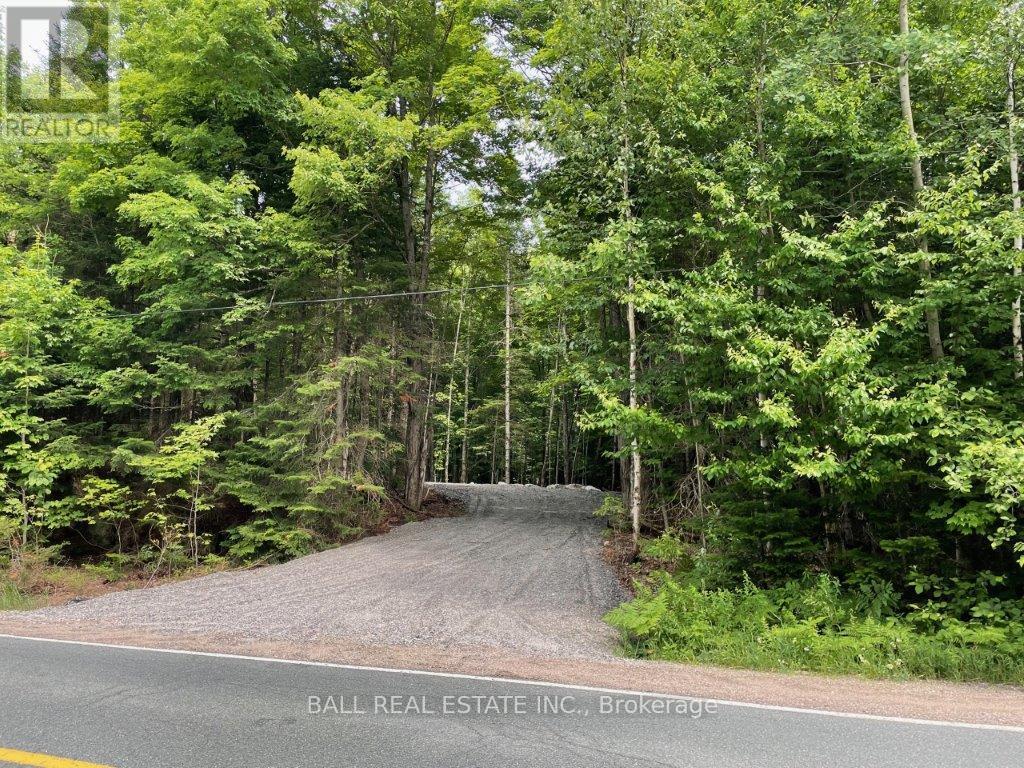 1350 Haliburton Lake Rd, Dysart Et Al (Dysart), Ontario  K0M 1S0 - Photo 9 - X12508922