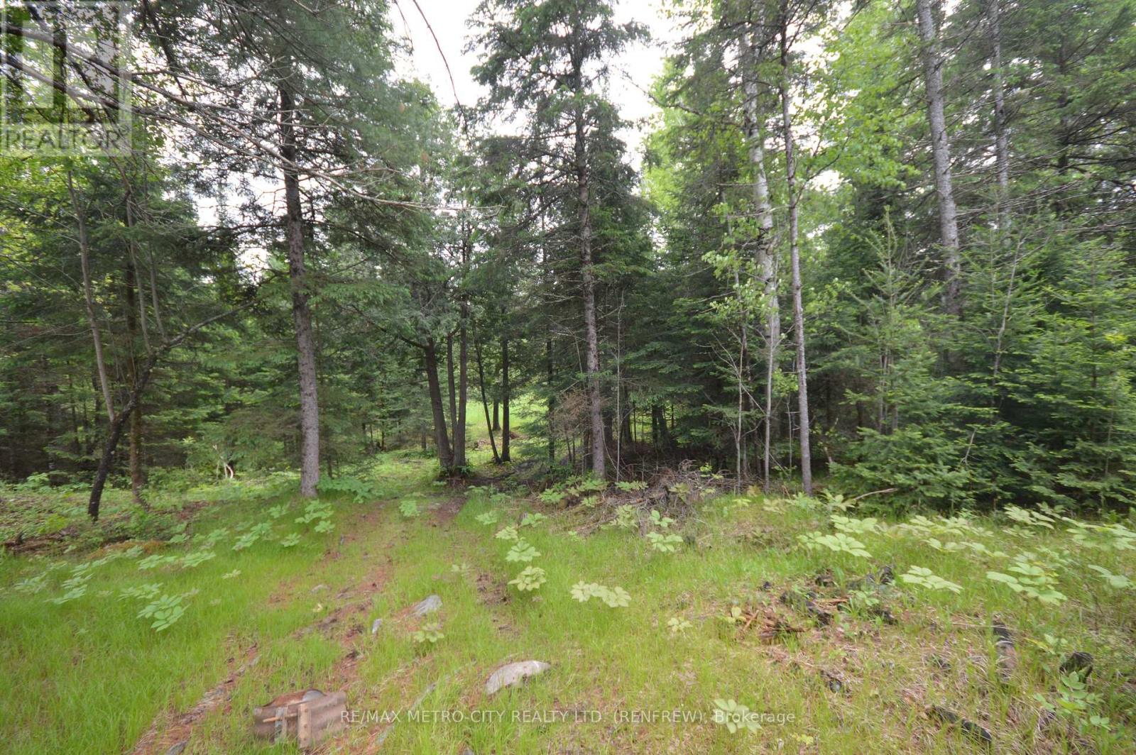 6340 Murphy Road, Greater Madawaska, Ontario  K7V 3Z9 - Photo 11 - X12508826