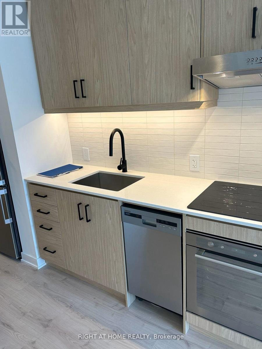 1017 - 9 Tecumseth Street, Toronto, Ontario  M5V 3G4 - Photo 11 - C12508754