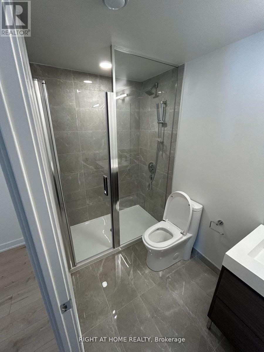 1017 - 9 Tecumseth Street, Toronto, Ontario  M5V 3G4 - Photo 5 - C12508754