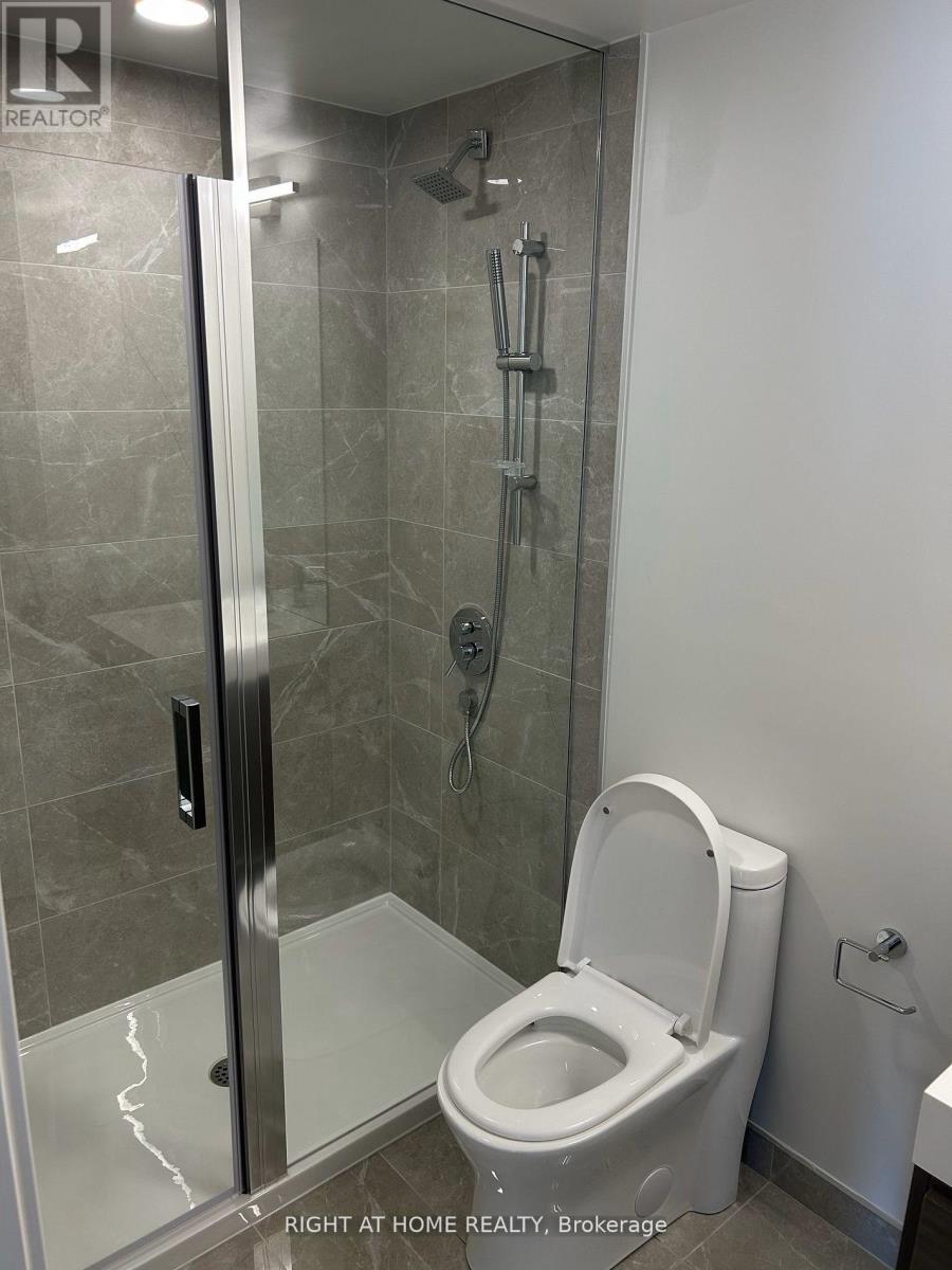 1017 - 9 Tecumseth Street, Toronto, Ontario  M5V 3G4 - Photo 6 - C12508754