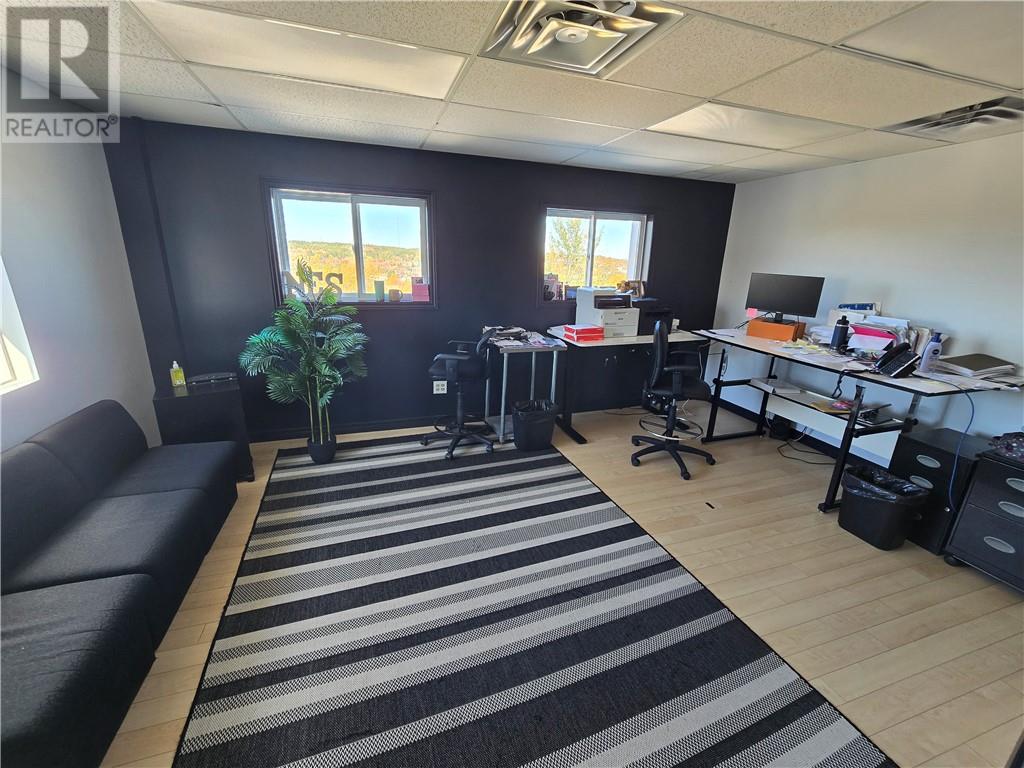 336 Pine Street, Sudbury, Ontario  P3C 1X8 - Photo 18 - 2125489