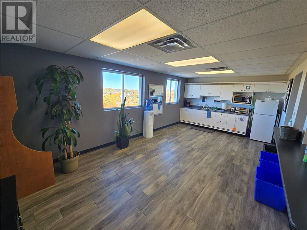 336 Pine Street, Sudbury, Ontario  P3C 1X8 - Photo 19 - 2125489